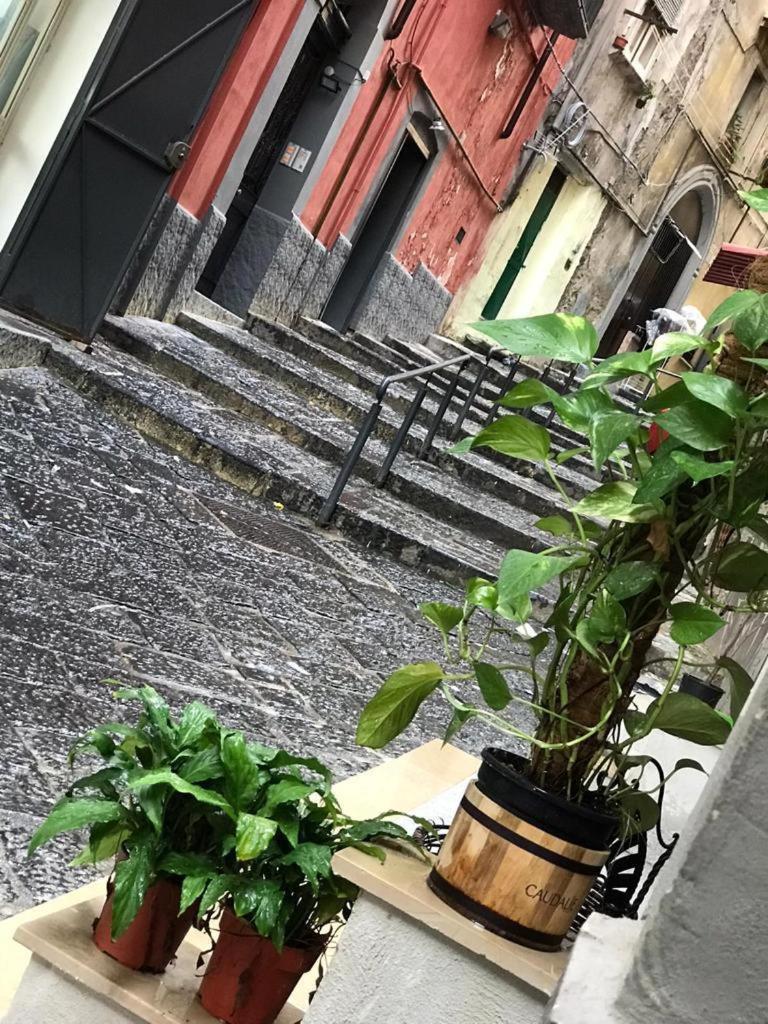 Casa Mari' Centro Storico Vicino Hotel Caracciolo Naples Luaran gambar